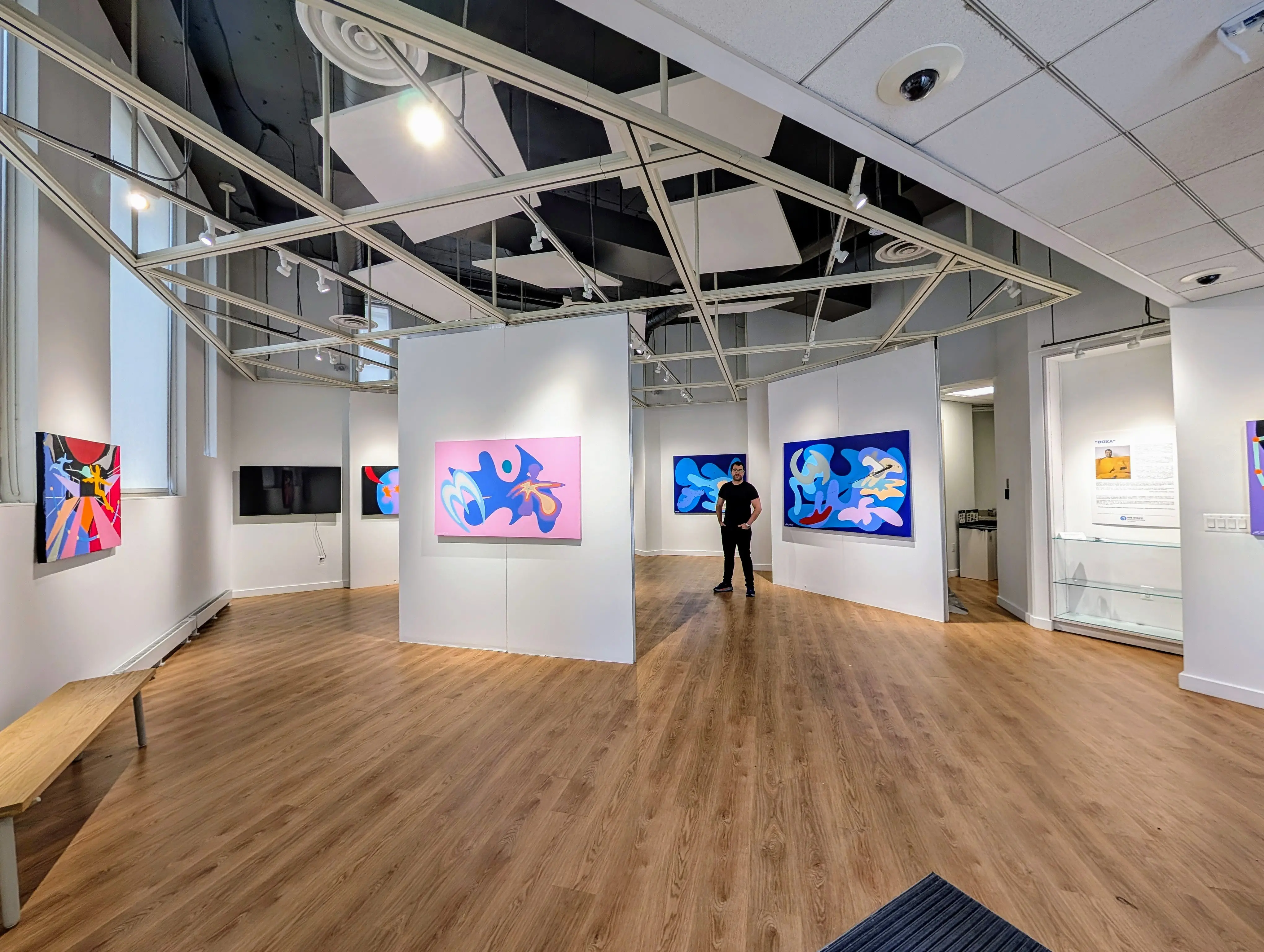 Juan Luis Landaeta artwork