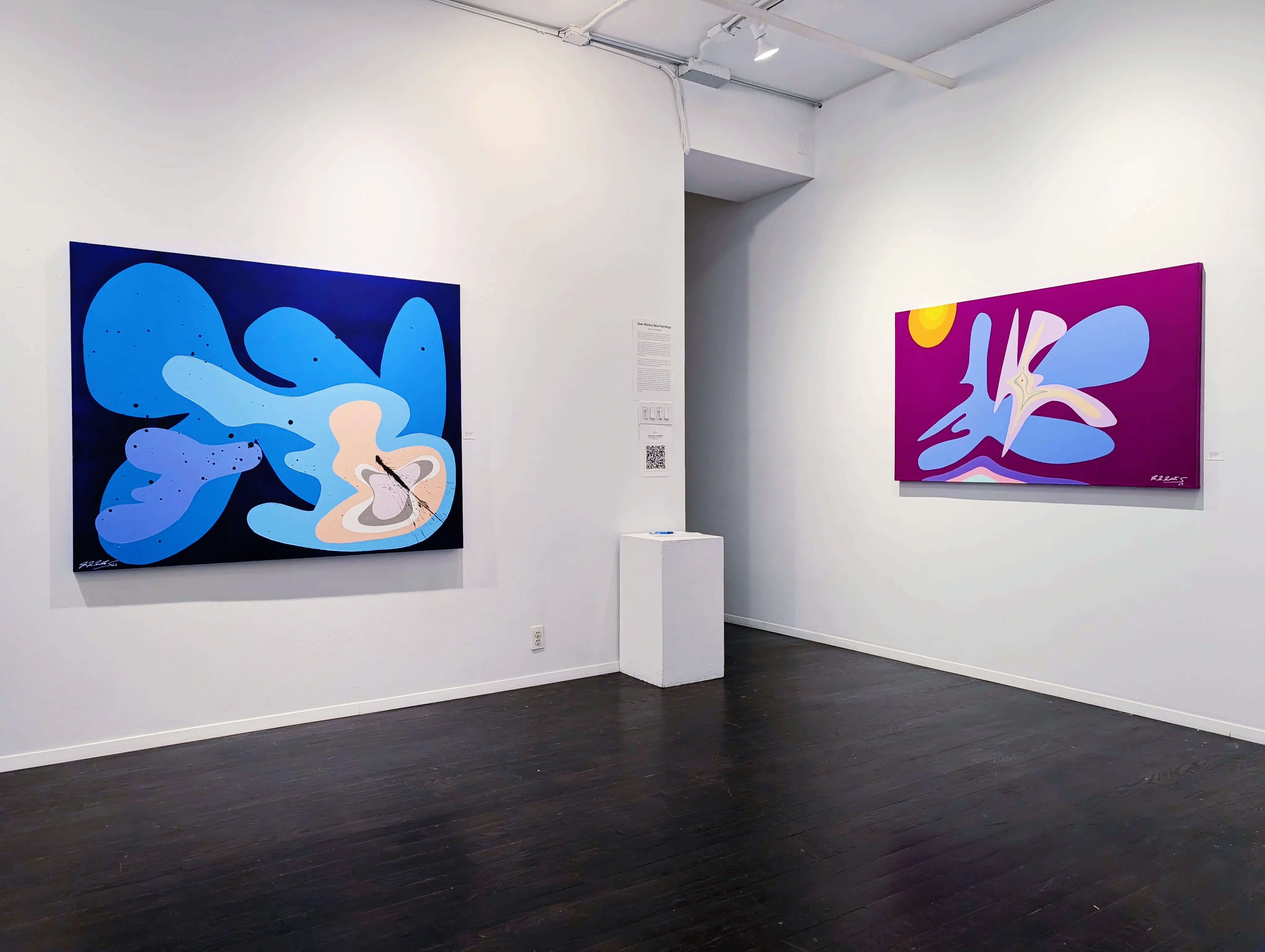 Juan Luis Landaeta artwork